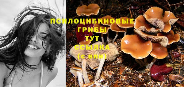 первитин Белая Холуница