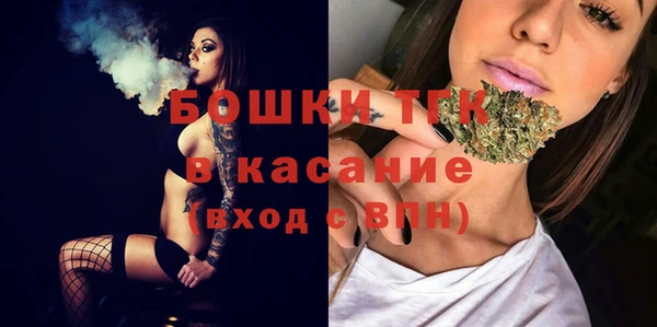 прущая мука Няндома