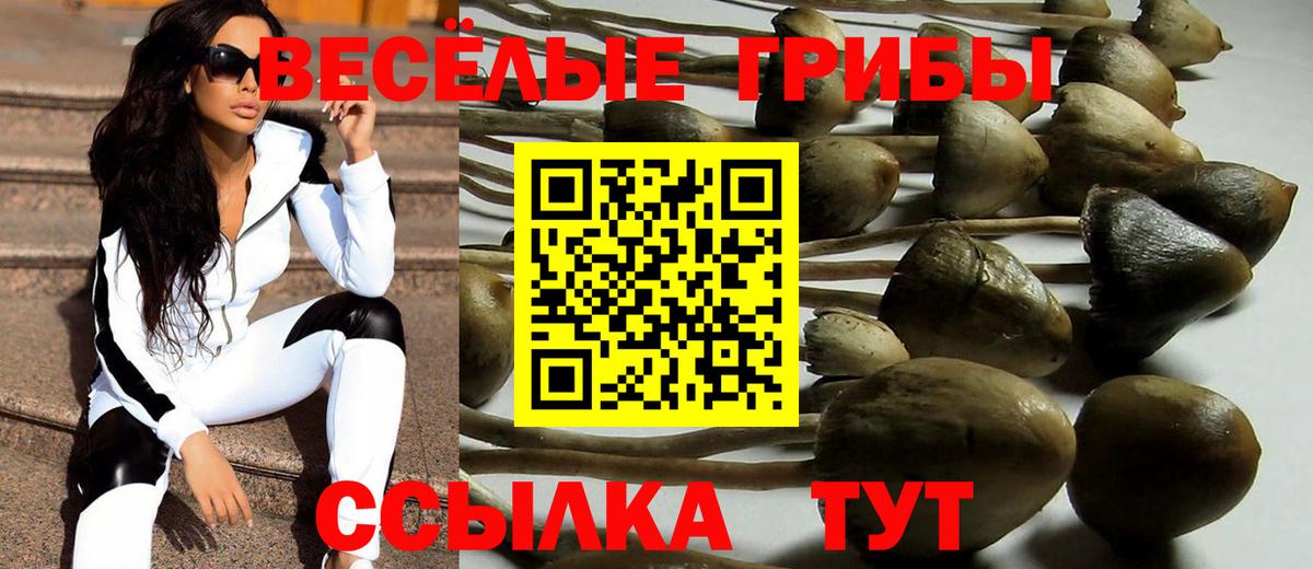 Галлюциногенные грибы Psilocybine cubensis  Вход с VPN  купить  цена  Кунгур 